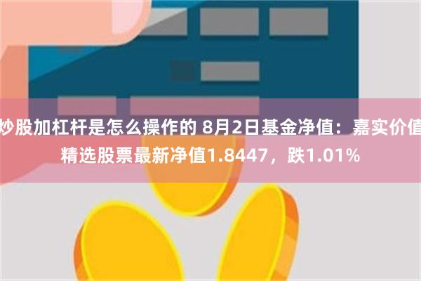 炒股加杠杆是怎么操作的 8月2日基金净值：嘉实价值精选股票最新净值1.8447，跌1.01%