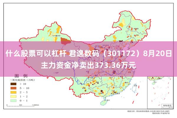 什么股票可以杠杆 君逸数码（301172）8月20日主力资金净卖出373.36万元