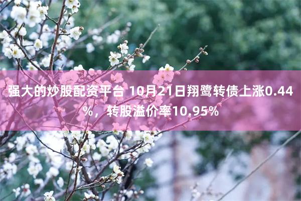 强大的炒股配资平台 10月21日翔鹭转债上涨0.44%，转股溢价率10.95%