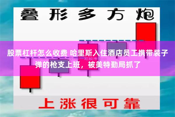 股票杠杆怎么收费 哈里斯入住酒店员工携带装子弹的枪支上班，被美特勤局抓了