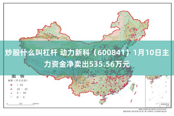 炒股什么叫杠杆 动力新科（600841）1月10日主力资金净卖出535.56万元