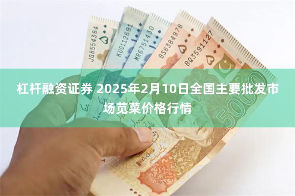 杠杆融资证券 2025年2月10日全国主要批发市场苋菜价格行情