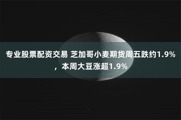 专业股票配资交易 芝加哥小麦期货周五跌约1.9%，本周大豆涨超1.9%